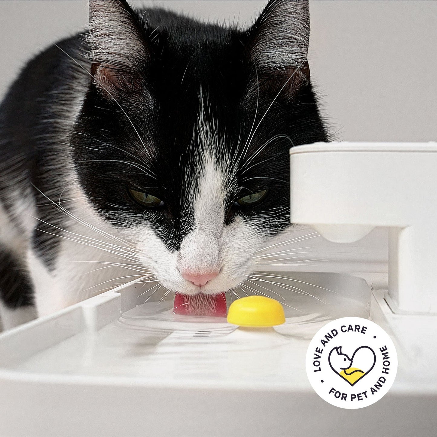 Welly – Smart Cat Drinking Fountain