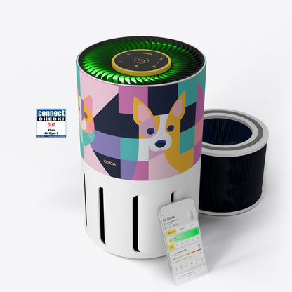 Air Klyna S + replacement filter