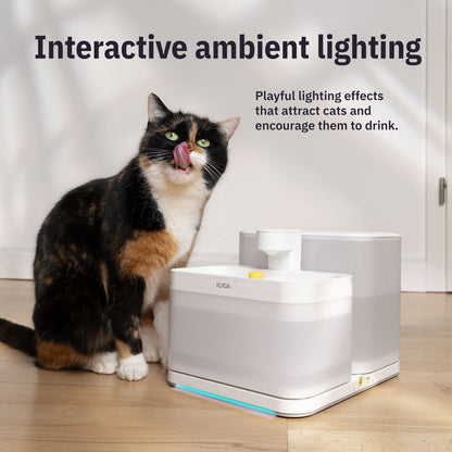 Welly – Smart Cat Drinking Fountain