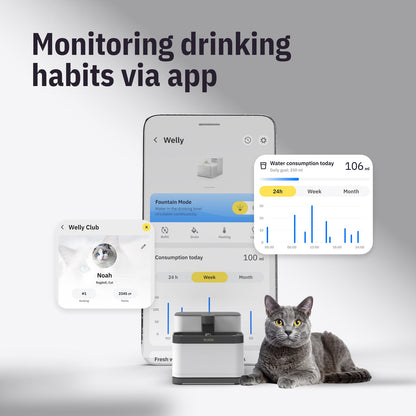 Welly – Smart Cat Drinking Fountain